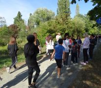 Lauf um die Lache 2019
