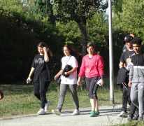 Lauf um die Lache 2019