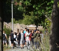 Lauf um die Lache 2019