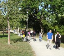 Lauf um die Lache 2019