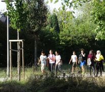 Lauf um die Lache 2019