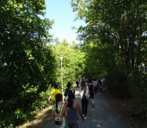 Lauf um die Lache 2019