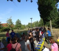 Lauf um die Lache 2019